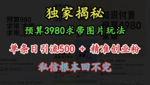 预算3980求带 图片玩法，单条日引流500+精准创业粉，私信根本回不完-第一资源库