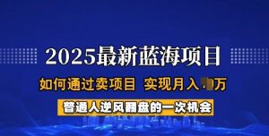 2025蓝海项目，普通人如何通过卖项目，实现月入过W，全过程【揭秘】-第一资源库